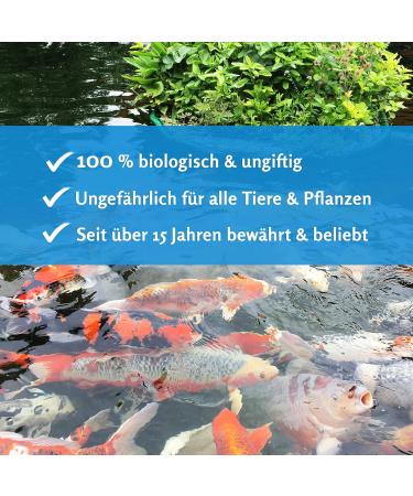 KOIPON Pon-Vital 2.5 kg 100% Biological Filamentous Algae Killer for Garden Ponds | Eco-Friendly Algae Control - Buy Online on GoSupps.com
