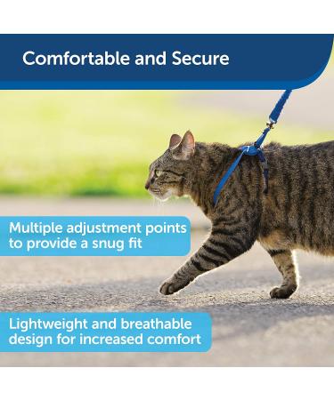 PetSafe Come With Me Kitty Harness & Bungee Leash - Large Royal Blue/Navy | Best Cat Harness for International Shipping - Buy Online on GoSupps.com