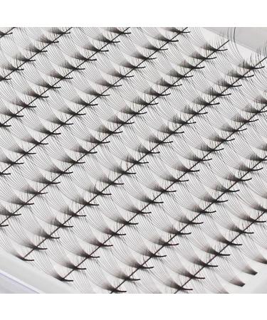 Large Tray Dedila Long Stem D Curl 10D Volume Premade Fans - Mixed Lengths 8-14mm | Premium Individual False Eyelashes Extensions - Buy Online on GoSupps.com