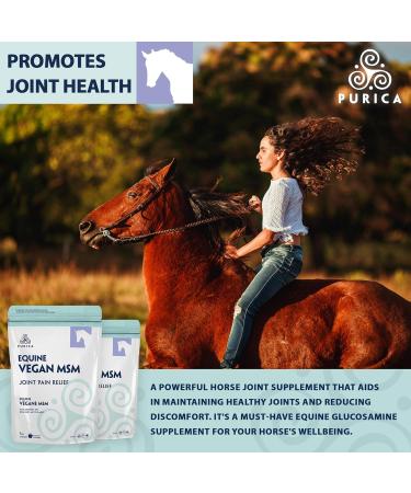PURICA Equine Vegan MSM Powder - Pure & Organic Horse Supplement for Joint Support 1kg 1 kg (Pack of 1) - Buy Online on GoSupps.com
