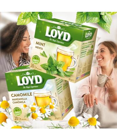 LOYD Tea - Camomile (6 Pack ) - Buy Online on GoSupps.com