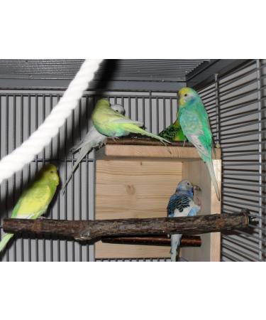 Natural Budgie Sleeping House with Perch - Top Bird Accessories for a Comfortable Cage - Buy Online on GoSupps.com