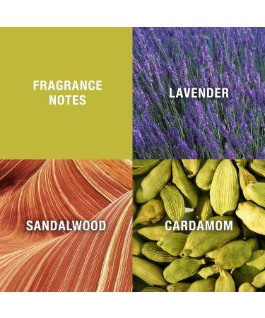 Curve Men's Cologne Fragrance Set Body Wash Aftershave Balm & Cologne Casual Day or Night Scent Father's Day 3 Piece Gift Set Spicy 11 Fl Oz (Pack of 1) - Buy Online on GoSupps.com