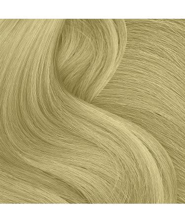 Punky Temporary Hair Highlight Spray Beach Blonde 3.5 oz 1-Pack 3.5 Ounce (Pack of 1) Beach Blonde - Buy Online on GoSupps.com