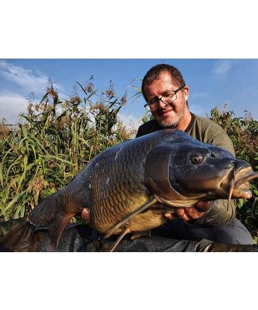 Tandem Baits SuperFeed Micro Pellet Carp Bait Carp Fishing Fishing Carp Boilies Professional Accessories - Buy Online on GoSupps.com