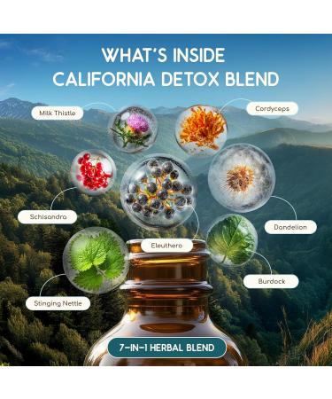 HerbEra California Herbal Detox Blend - USDA Organic Extract Made in USA | Immune & Liver Support Liquid Drops | Burdock Dandelion Root Eleuthero Milk Thistle Schisandra | 2 fl oz - Buy Online on GoSupps.com