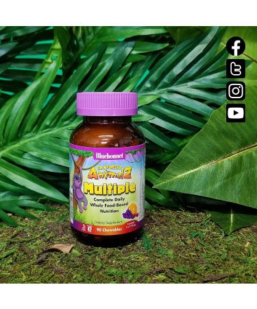 Bluebonnet Nutrition Rainforest Animalz Kids Multivitamin - 90 Chewable Tablets - Buy Online on GoSupps.com