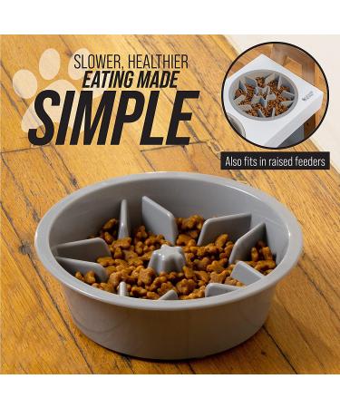 Leashboss Dog Bowl Slow Feeder for Raised Pet Feeders - Maze Food Bowl (Gray, 2 Cup Size) - Buy Online on GoSupps.com