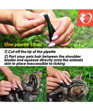 Flea and Tick Prevention for Dogs, Cats, and Rabbits - Natural Treatment - Topical Repellent - 3 Drops for Small Pets - Buy Online on GoSupps.com