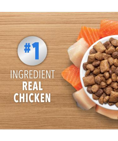 IAMS PROACTIVE HEALTH HEALTHY ENJOYMENT Adult Dry Cat Food Chicken & Salmon Recipe 1.36kg Bag 1.36 kg (Pack of 1) - Buy Online on GoSupps.com