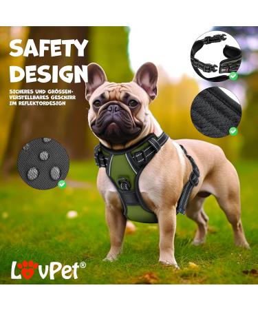 Lovpet No-Pull Dog Harness for Small Dogs & Puppies | Breathable Reflective Adjustable | Soft & Comfortable with Handle | International Shipping Available - Buy Online on GoSupps.com