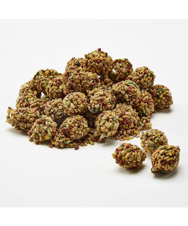 Kaytee Forti Diet Pro Health Parrot Bits 4.5oz Nutritious Parrot Treat - Buy Online on GoSupps.com