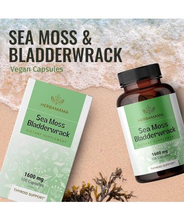 HERBAMAMA Sea Moss Capsules - Organic Irish Sea Moss Bladderwrack Supplement - 100 Vegetarian Capsules for Immunity, Thyroid, Digestive Health & Joint Support - Non-GMO Superfood (1 Pack) - Buy Online on GoSupps.com