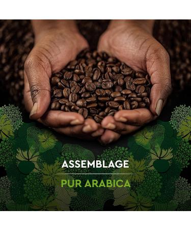 CARTE NOIRE - Organic Grain Coffee - 100% Arabica - Latin American Origin - Pack of 1 kg - Made in France - Buy Online on GoSupps.com