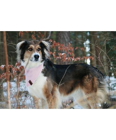 Vanclyde Sydney Dog Half Triangle Bandana - Stylish Rosa Accessory with Carabiner Closure Size L - Perfect for International Shipping - Buy Online on GoSupps.com