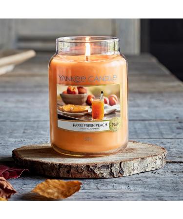Yankee Candle Candle Farm Fresh Peach Large Fresh Peach Large Jar Candle - Buy Online on GoSupps.com