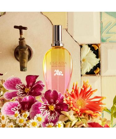 Escada Brisa Cubana Eau de Toilette Women's Citrus Perfume With Notes of Lime Essence Mint Oil & Mariposa Accord Long Lasting Fragrance 0.33 Fl Oz (Pack of 1) - Buy Online on GoSupps.com