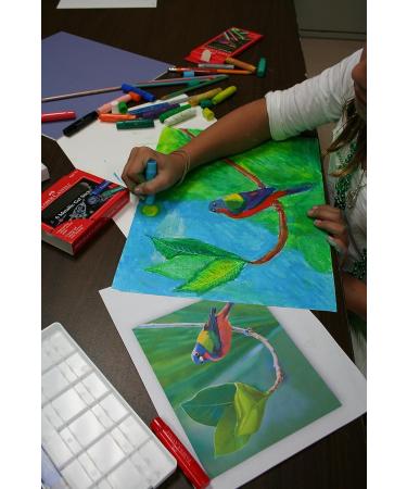 Faber-Castell Gel Sticks - 12 Twistable Watercolor Crayons for Kids with Brush - Buy Online on GoSupps.com