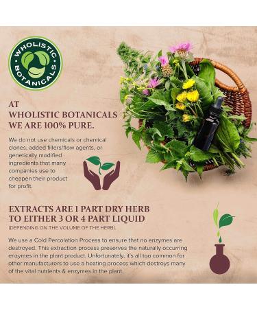 Wholistic Botanicals Eucalyptus Blue Mallee Essential Oil Eucalyptus Oil, Aromatherapy Essential Oil 15 ml - Buy Online on GoSupps.com