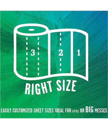 Seventh Generation Paper Towels - 100% Recycled, 2-Ply, Eco-Friendly (4 Packs of 6) - Buy Online on GoSupps.com