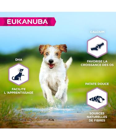 EUKANUBA Grain Free Dog Food Puppy & Junior Small & Medium Breeds Rich in Fish 12kg - Buy Online on GoSupps.com