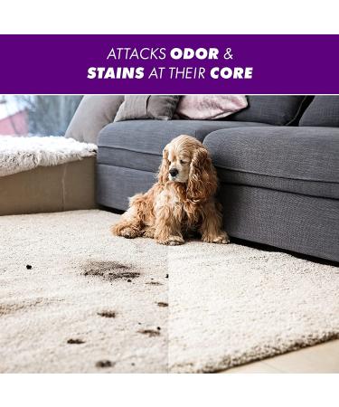 OxiClean Odor Blasters 5 lbs: Laundry Odor & Stain Remover Powder - Eliminate Odors & Stains - Buy Online on GoSupps.com