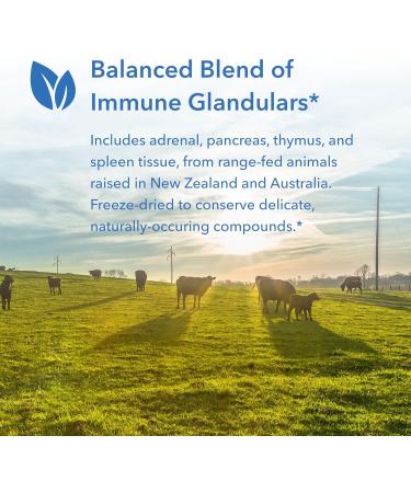 Buy Allergy Research Group Immuno Gland Plex 60 Caps - Premium Immune Support Supplement | International Shipping Available - Buy Online on GoSupps.com