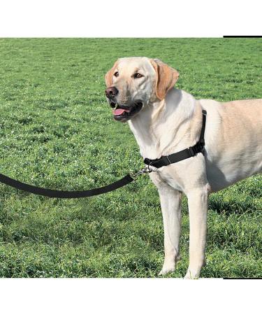 PetSafe Easy Walk Harness - Anti-Pull Dog Harness Reduces Choking & Coughing Includes 1.8M Leash Size XL - Black - Buy Online on GoSupps.com