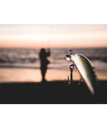 Yo-Zuri R 1323 Hydro Minnow LC 170mm Bone Color - 6 3/4 Inch - Buy Online on GoSupps.com