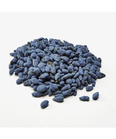 Kaytee Blueberry Flavored Yogurt Dipped Sunflower Seeds for Birds Treat - Buy Online on GoSupps.com