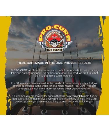 Pro-Cure Salmon Egg Bait Oil 2oz - Premium Scent for Fishing Success - Buy Online on GoSupps.com
