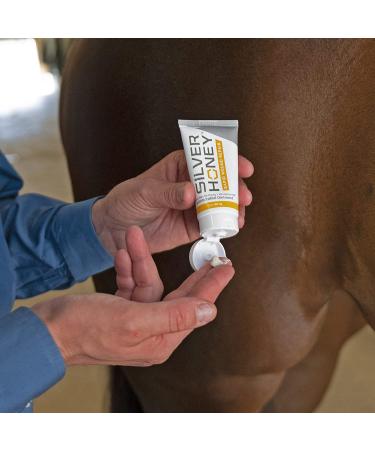 Absorbine Silver Honey Rapid Wound Repair Ointment 2oz Tube - Veterinarian Tested Horse & Animal Care - Buy Online on GoSupps.com