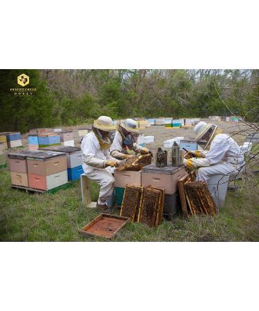 Desert Creek Raw Honey - Premium Pure Texas Product - 1 Gallon - Buy Online on GoSupps.com