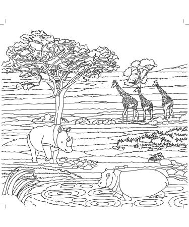 Kaisercraft On Safari Coloring Book - Engaging Wildlife Designs for Relaxation - Buy Online on GoSupps.com