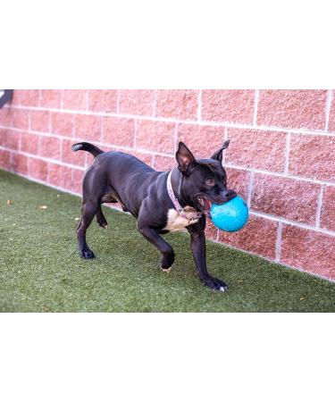 Jolly Pets Dog Football - Ocean Blue 20 cm | Multi Large/X-Large Toy - Buy Online on GoSupps.com