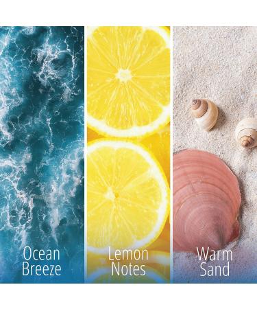 KIFRA OCEAN Concentrated Laundry Fragrance 200ml - 80 Washes - Buy Online on GoSupps.com