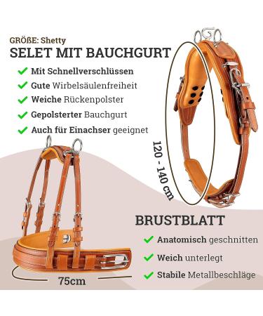 Esposita Professional Carriage Dishes for Shetty Pony & Horse - Perfect for Minishetty to XL Cold Blood in Single Brown - Buy Online on GoSupps.com
