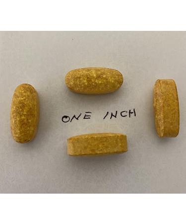 B-Complex 150 with 100 Coated Caplets | High Potency B-Vitamins Supplement - Buy Online on GoSupps.com