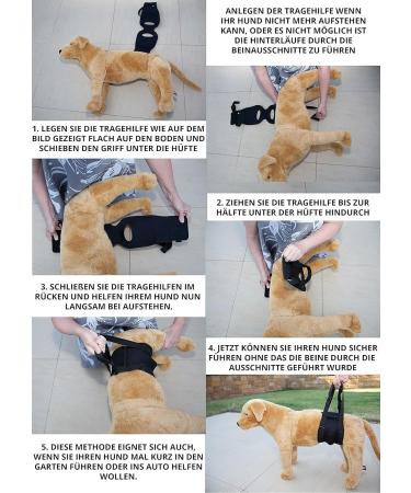 Nature PET Carrier for Dogs - Stair Aid Lift Strap for Older & Sick Dogs - Black L (1 Pack) | International Shipping - Buy Online on GoSupps.com