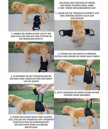 Premium XL Blue Dog Rehabilitation Aid - Neoprene Walking Support for Spine Hip & Knee Issues | From Nature Pet - Buy Online on GoSupps.com