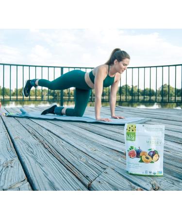 Fruit Bliss Organic Dried Fruit Mix - Apricots, Plums & Figs | Gluten-Free Vegan Snacks (5oz Pack) - Buy Online on GoSupps.com