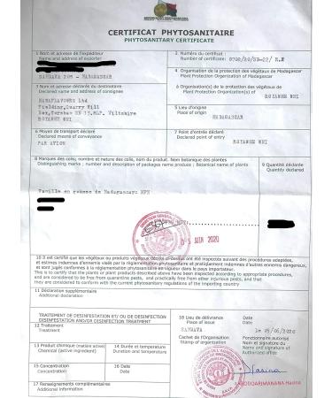 10 Premium Bourbon Noir Madagascan Vanilla Pods/Beans 4g-5g per pod 18/20cm. Weight +-40g - 2021 Crop Direct Import from Madagascar - Buy Online on GoSupps.com