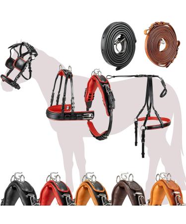 Esposita single-chip "professional" carriage dishes for Shetty pony and horse dishes for minishetty to XL cold blood.