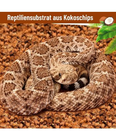 Riare 2 Pack Natural Coconut Earth Substrate for Reptiles - Humus Litter for Turtles Snakes Scorpions & Spiders - 2 x 650g - Buy Online on GoSupps.com