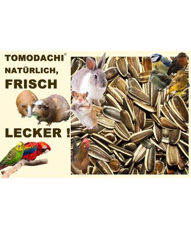 Tomodachi Chicken Food - Sunflower Seed Snacks & Daily Feed | 1kg Bucket | Premium Bird Feed - Buy Online on GoSupps.com