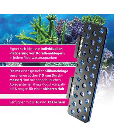 Buy Arka Myreef Frag Rack - 32 Holes Coral Holder for Sea Water Aquariums | Quality Magnetic Design - Black & Blue - Buy Online on GoSupps.com