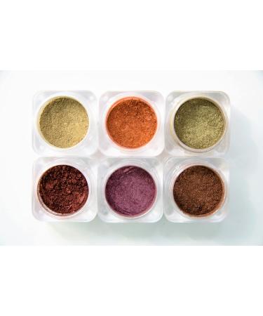 Naked Cosmetics Mica Powder Pigment for Makeup - Lip Gloss Pigment Powder for Lipstick - Pigment Powder for Nails - Loose Mica Pigment Powder for Face & Body Urban Rustic Collection of 6
