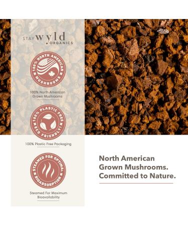 Stay Wyld - Organic Chaga Mushroom Capsules -Natural Cholesterol Level and Immune Support Supplement - 100% Canadian Grown Chaga Fruiting Bodies - Non-GMO Vegan - Mushroom Supplement - 60 Capsules Chaga - Capsules - Buy Online on GoSupps.com