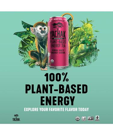 Yachak Yerba Mate Drink Berry Red 16 Fl Oz Cans - Pack of 12 | Energizing Natural Flavor - Packaging May Vary - Buy Online on GoSupps.com