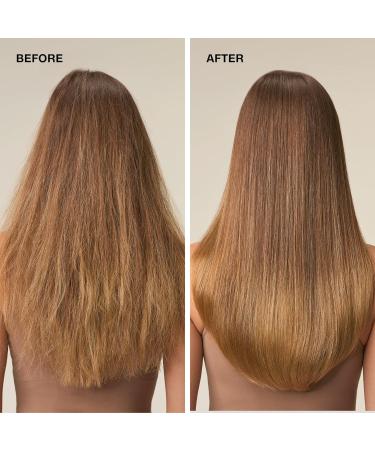 Paul Mitchell Mousse ACV Rinse - Buy Online on GoSupps.com